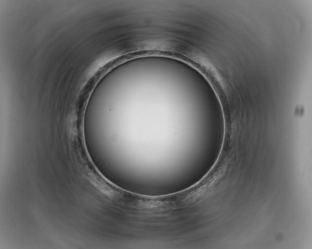 X0000097801019200803141049