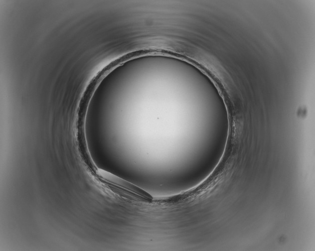 X0000097801020200803141049