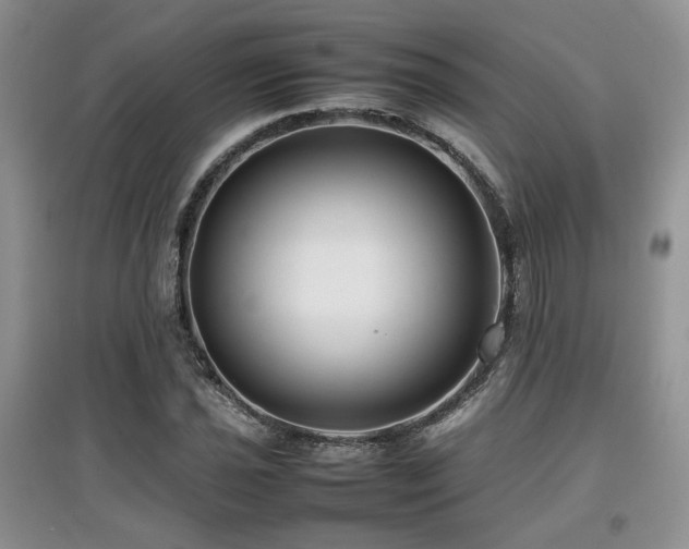 X0000097801021200803141049