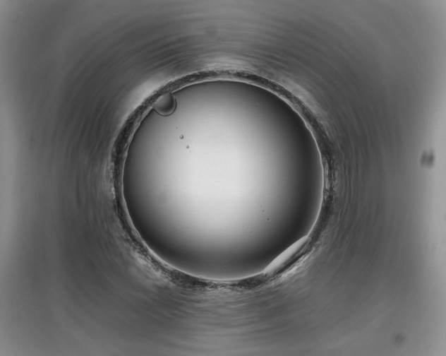 X0000097801022200803141049