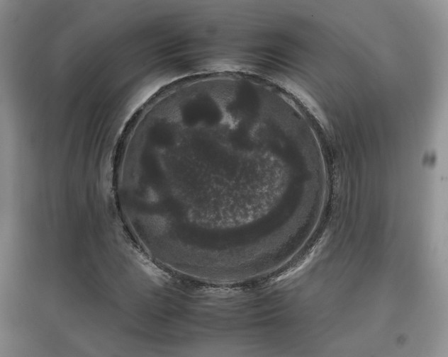 X0000097801023200803141049