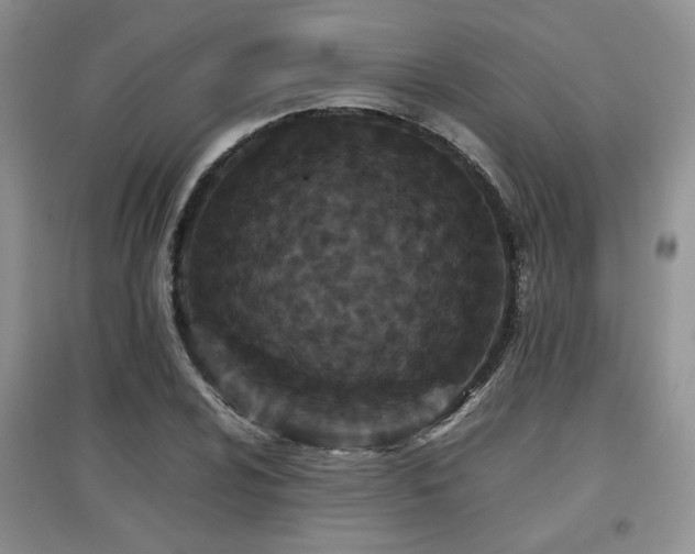 X0000097801024200803141049