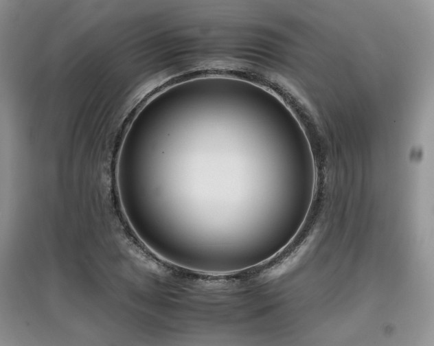 X0000097801025200803141049