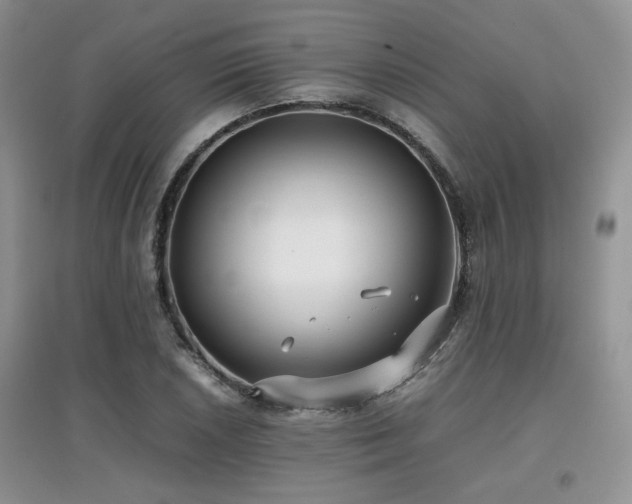 X0000097801026200803141049