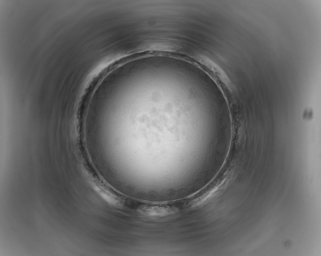 X0000097801027200803141049