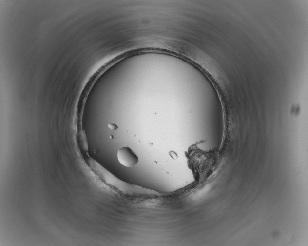 X0000097801028200803141049