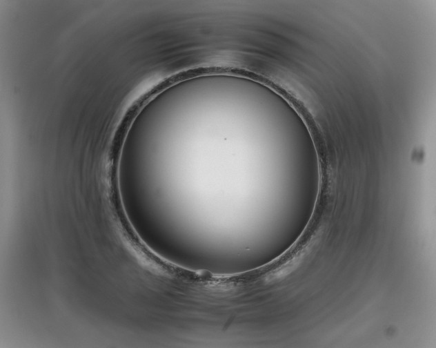 X0000097801029200803141049