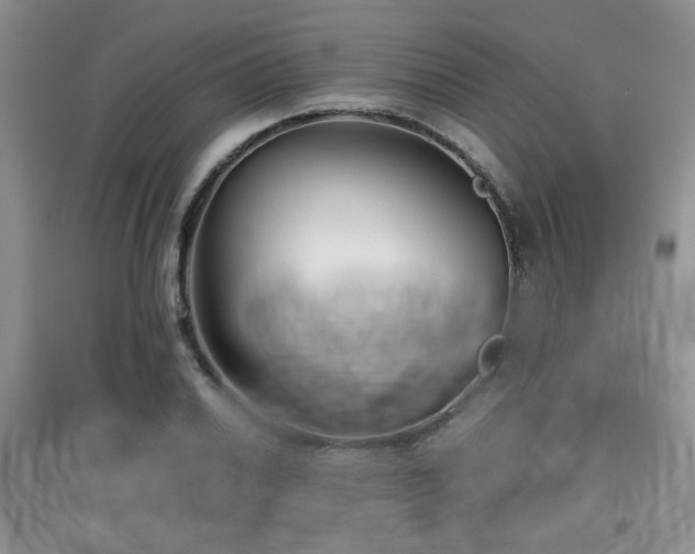 X0000097801030200803141049