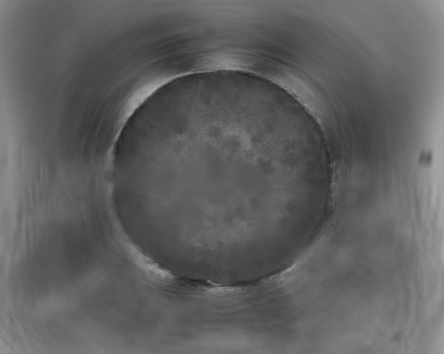 X0000097801031200803141049