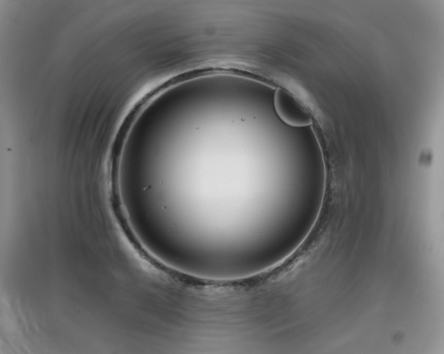 X0000097801032200803141049