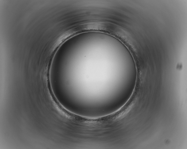 X0000097801033200803141049