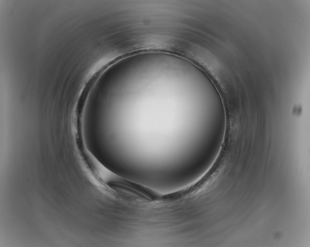 X0000097801034200803141049