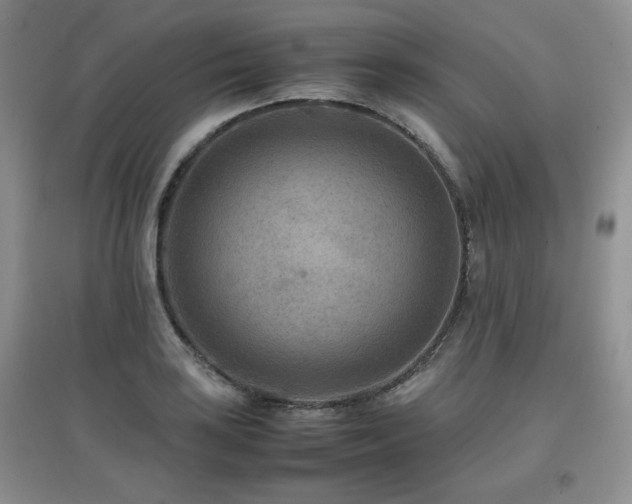 X0000097801035200803141049