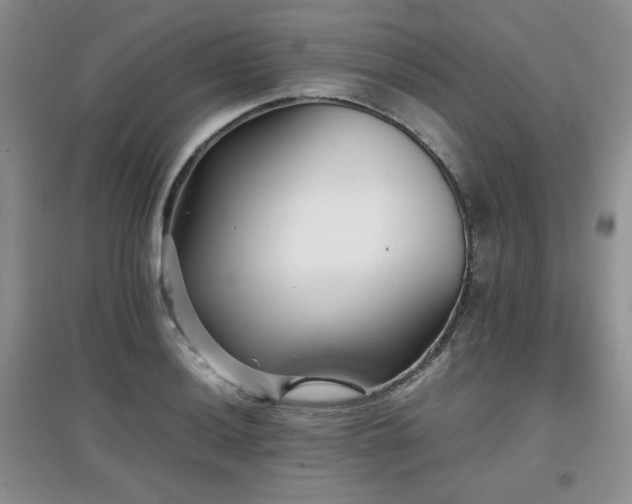 X0000097801036200803141049