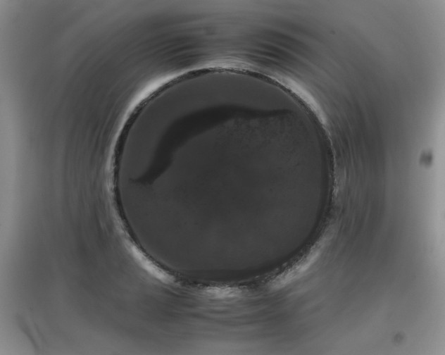 X0000097801037200803141049