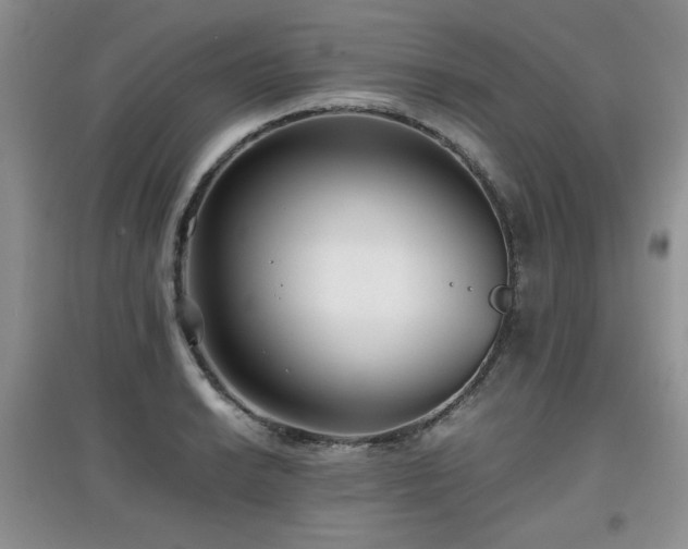 X0000097801038200803141049