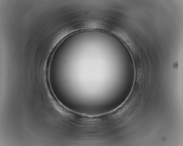 X0000097801039200803141049