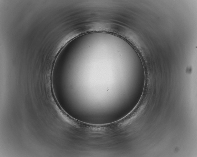 X0000097801041200803141049