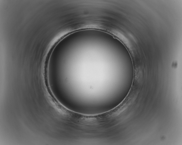 X0000097801043200803141049