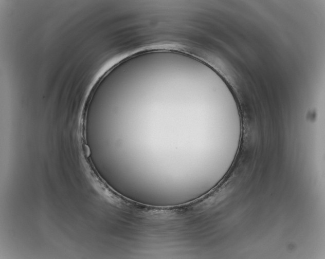 X0000097801044200803141049