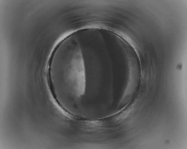 X0000097801045200803141049