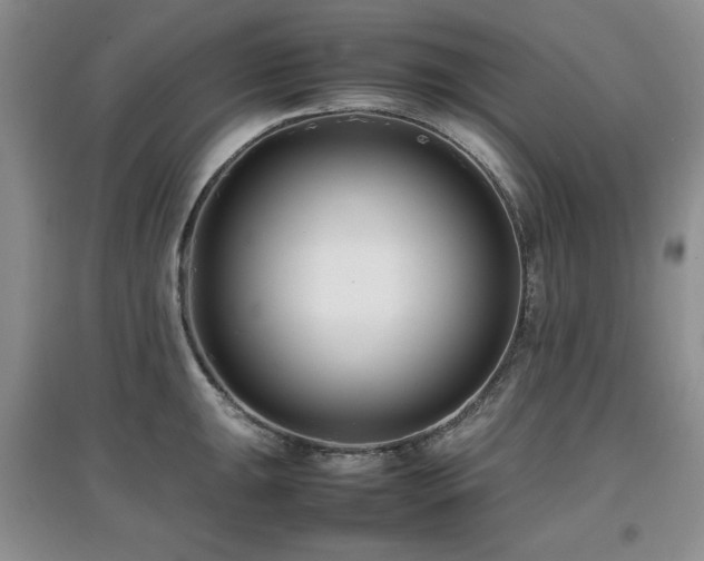 X0000097801047200803141049