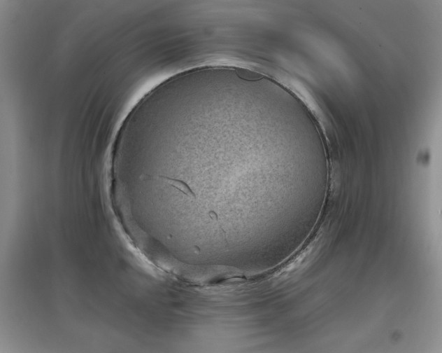 X0000097801048200803141049