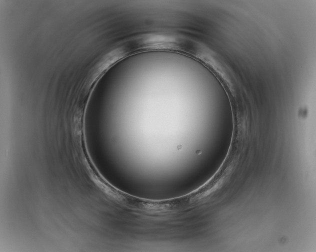 X0000097801049200803141049