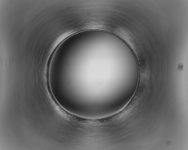 X0000097801050200803141049