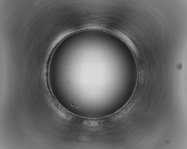 X0000097801051200803141049