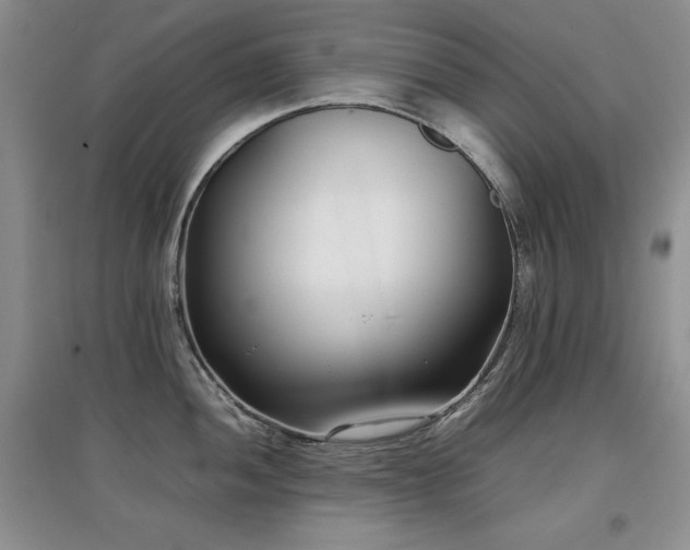 X0000097801052200803141049