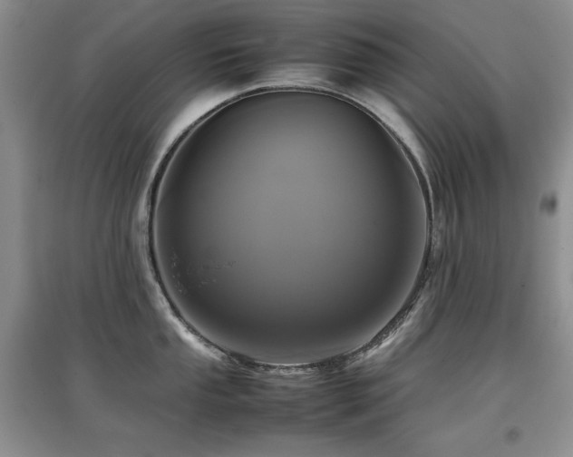 X0000097801053200803141049