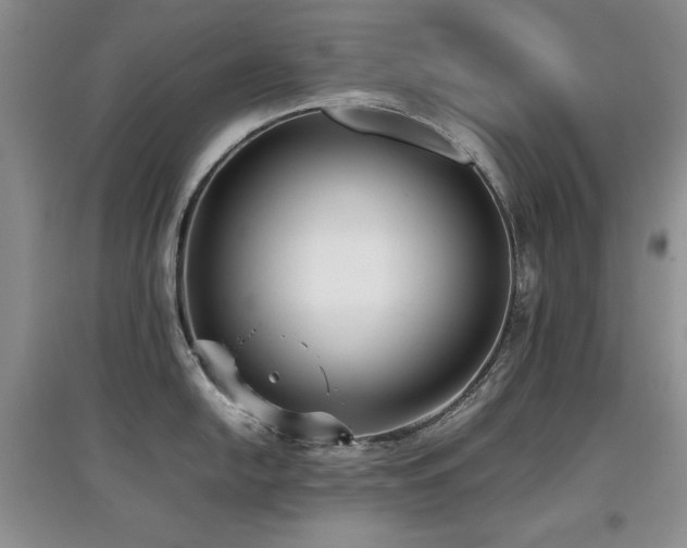 X0000097801054200803141049