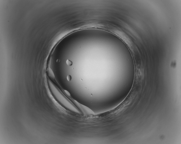 X0000097801055200803141049