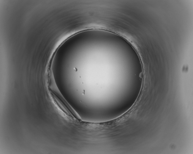 X0000097801056200803141049