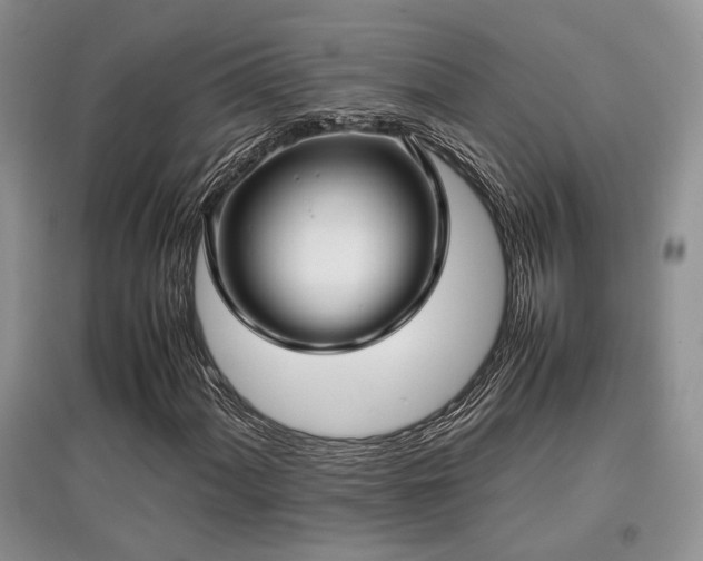 X0000097801060200803141049