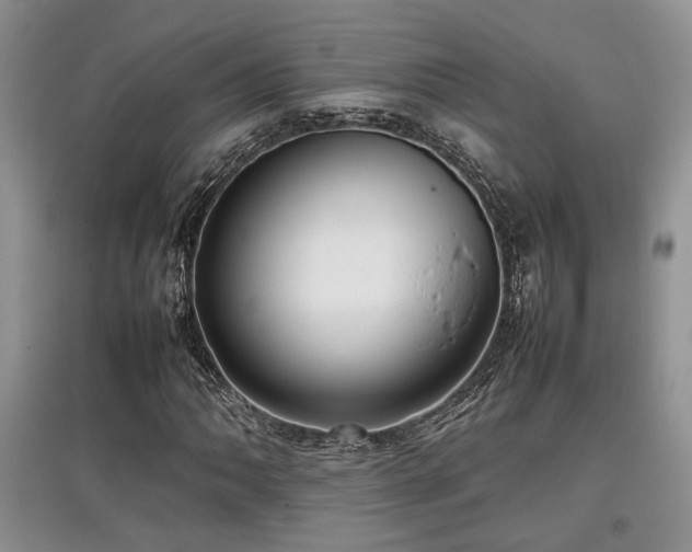 X0000097801062200803141049