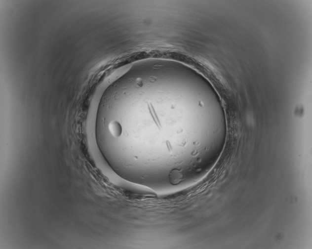 X0000097801063200803141049