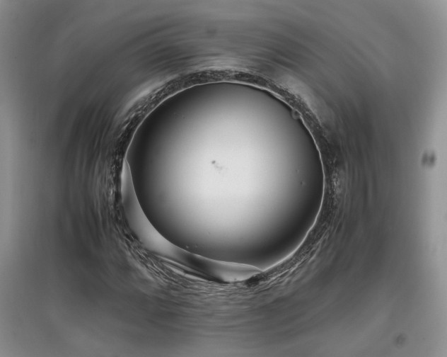 X0000097801064200803141049