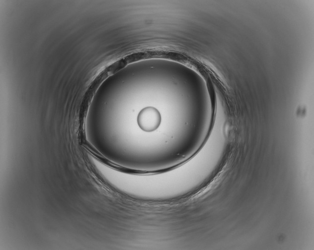 X0000097801065200803141049