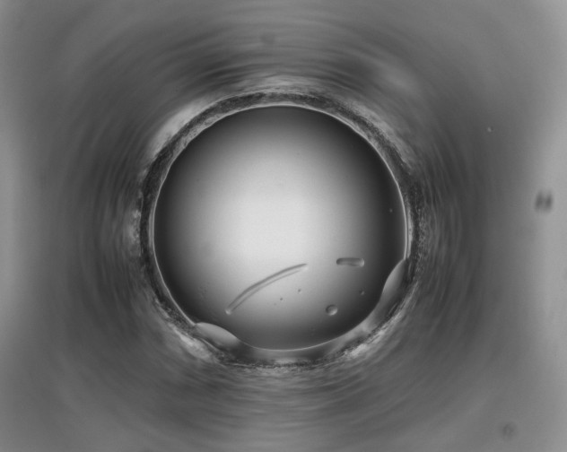 X0000097801066200803141049