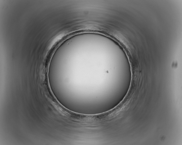 X0000097801067200803141049