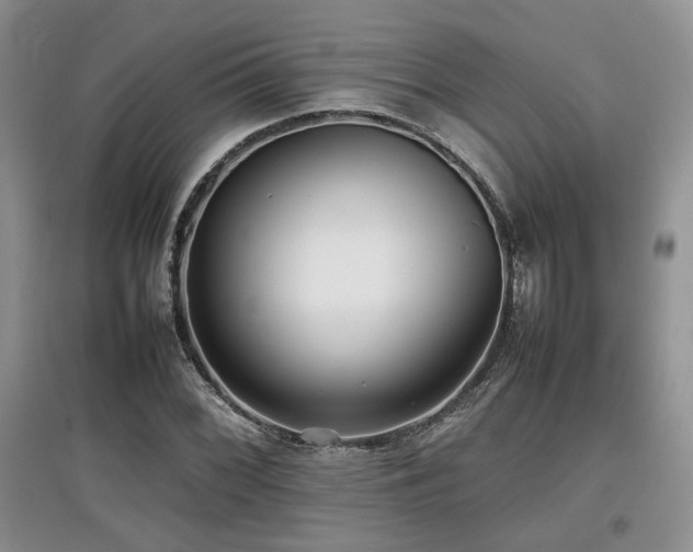 X0000097801068200803141049