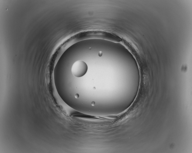 X0000097801069200803141049