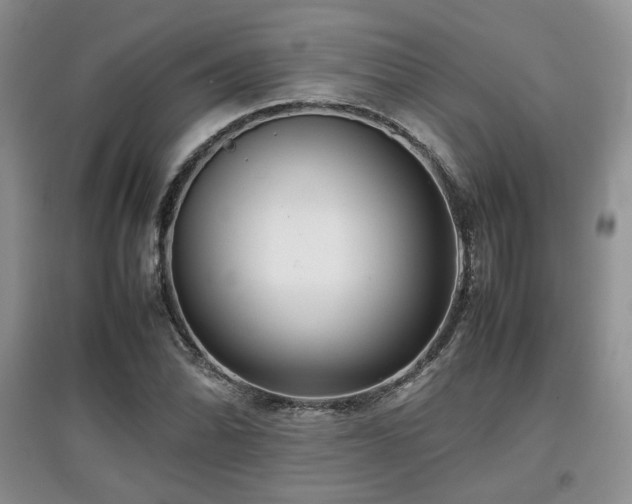 X0000097801070200803141049