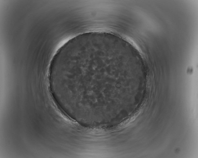 X0000097801071200803141049