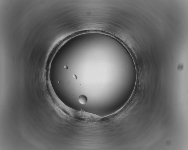 X0000097801072200803141049