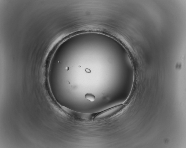 X0000097801075200803141049