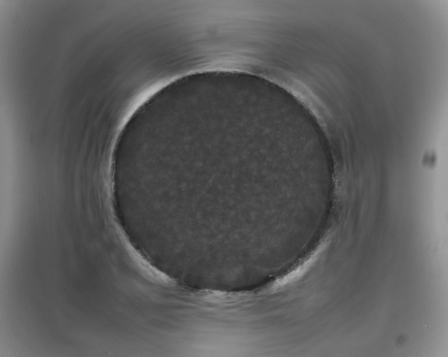 X0000097801077200803141049