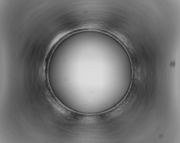 X0000097801078200803141049